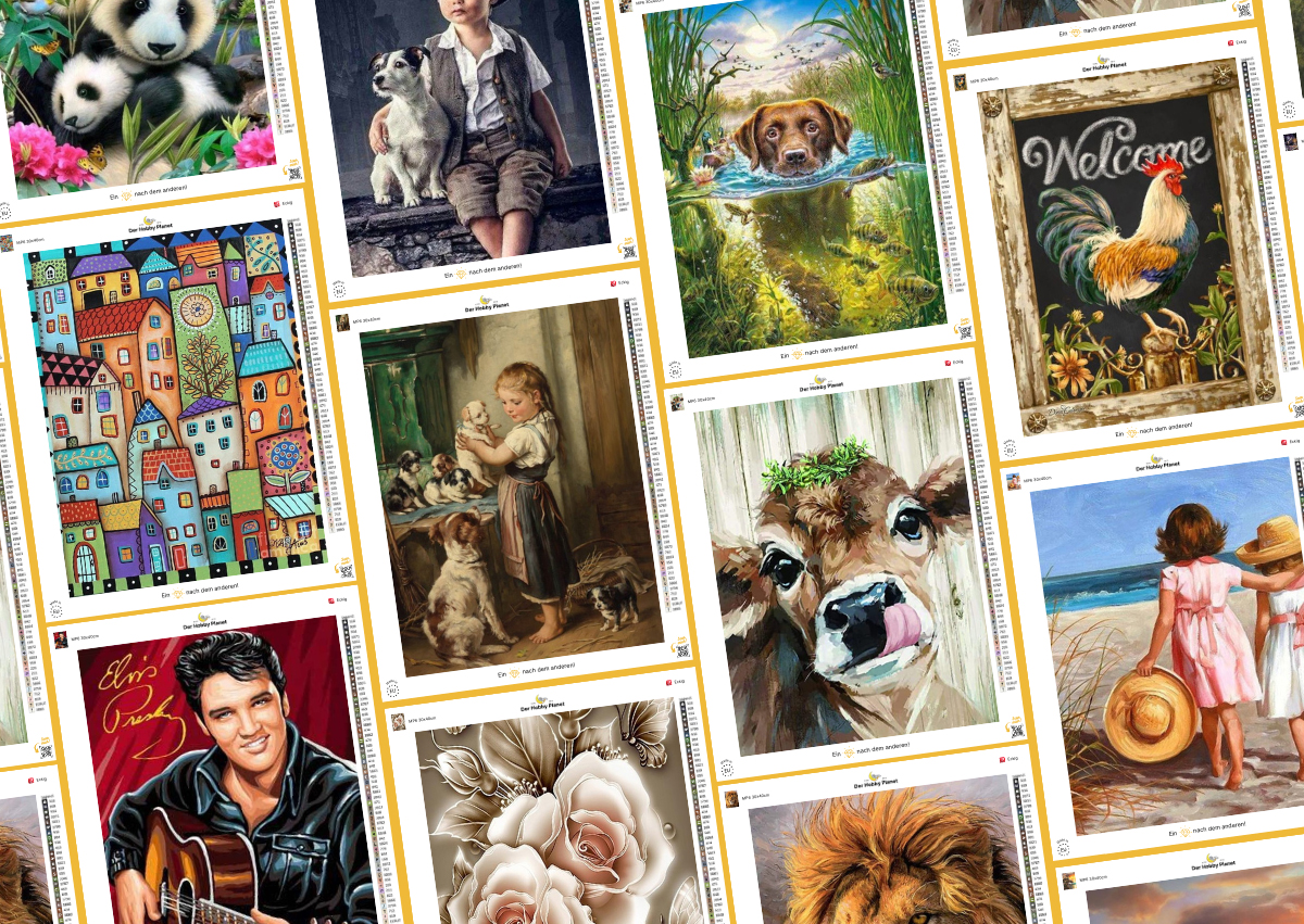 Snel Diamond Painting